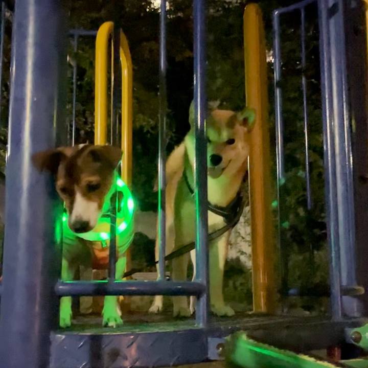 4f6617ff 92bd 4ac7 8034 dcf7efcd1634 1731617046093