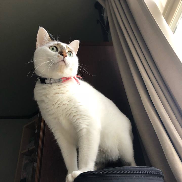 4f664a61 50a8 47c3 aaca 00186b9b0807 1537937353679