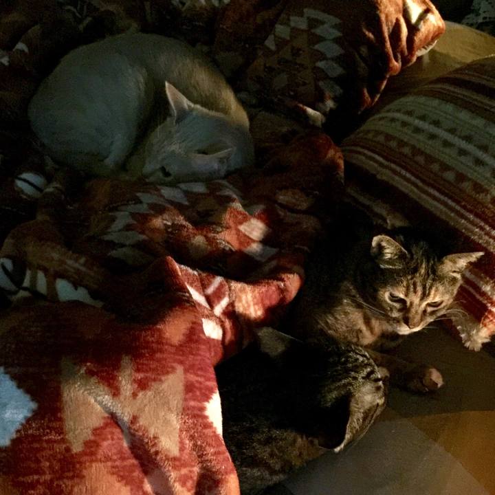 4f665e18 d8d0 4ce8 8396 f53c8833374c 1518817975905