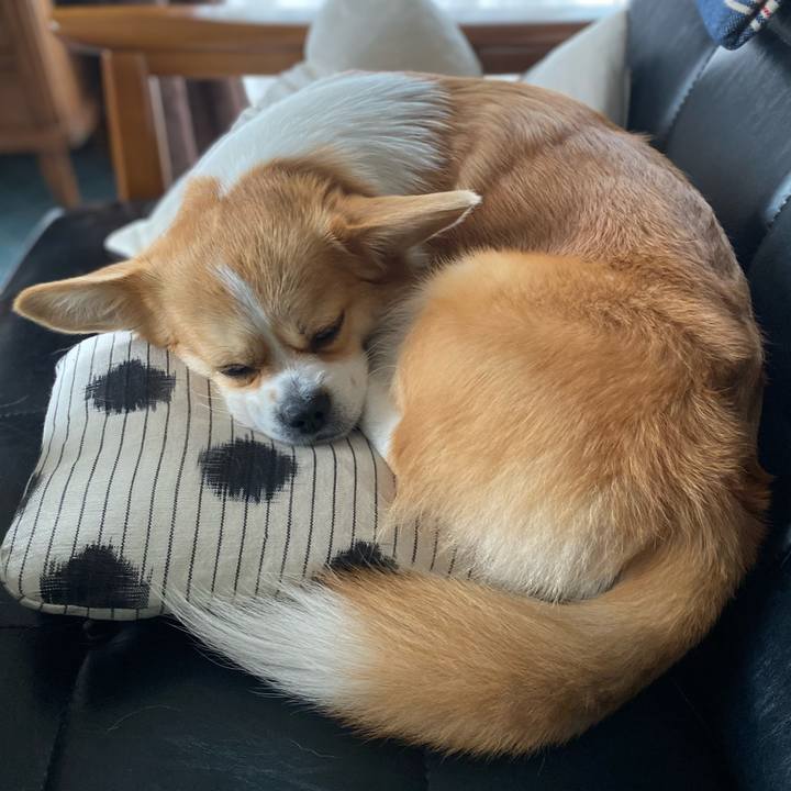 4f6696ff 3abe 44a8 a644 151a5db7fd57 1619671309382