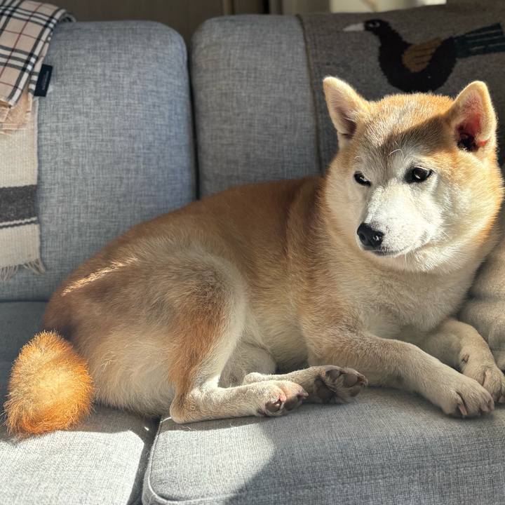 4f669da7 4951 4eb2 aadf abe6ce9b793f 1737416019371