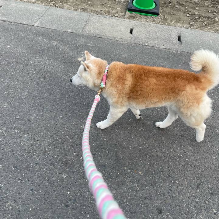 4f66b18b 03a7 4c7e 9404 aeb518aa882c 1675560302921