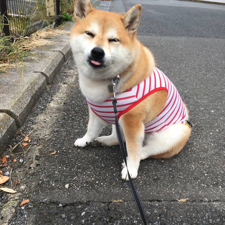 4f66c67a c8fa 4c6f 8aec d95efc45048e 1569017184583