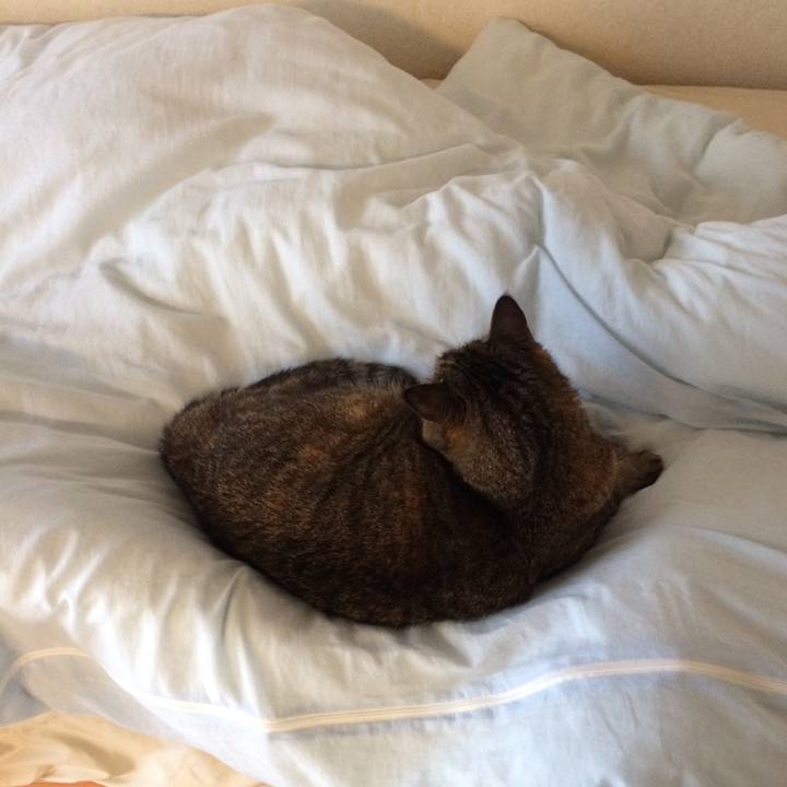 4f66d7cc 5600 4606 b629 658a4f1c595c 1590223444268