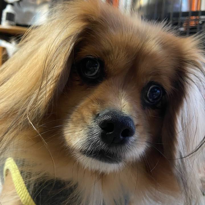 4f66e9a2 03e3 4ead a5e6 b03887387939 1639000419650