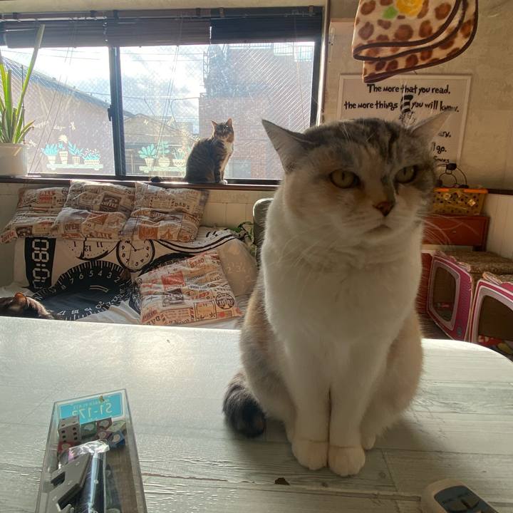 4f66f73d 1e88 459d 9a81 89366f2064f2 1674351096757