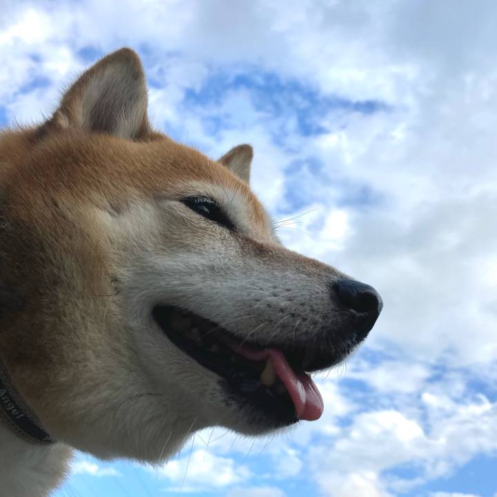 4f66f918 d19f 421d 97d4 9a5c0c5e19e9 1658046333778