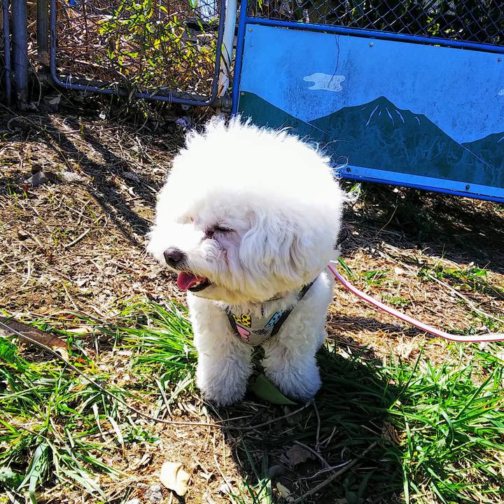 4f6712b9 f6c8 4e66 bdc7 3bc9bd7ce850 1553166405440