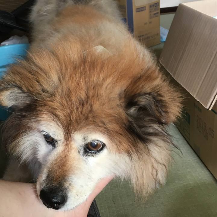 4f6716c1 419e 48a7 b4e7 f847362224a8 1602940771961