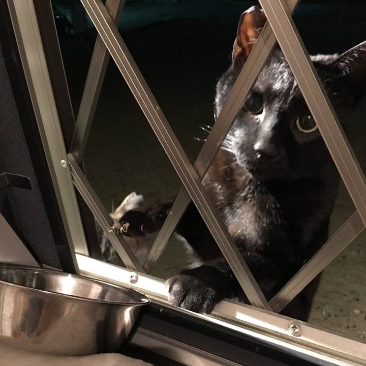 4f672a82 c311 4ac9 8dba 3e890cda2118 1523556368756