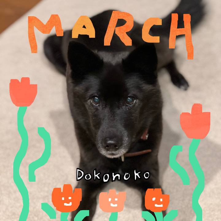 4f673f52 3d80 476f abc5 03f19ad54ce4 1741565714076