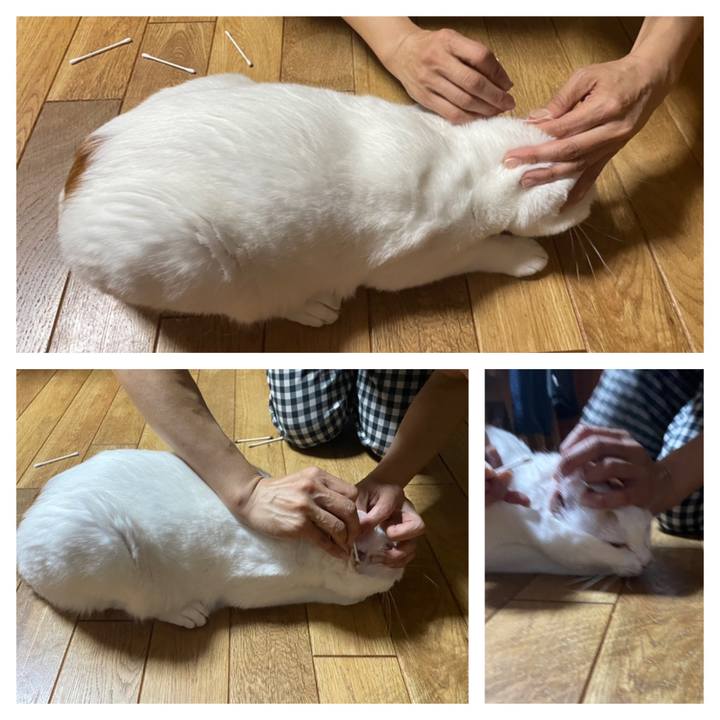 4f6753fc 3f36 436c 8660 aaef5aa7437c 1661003462888