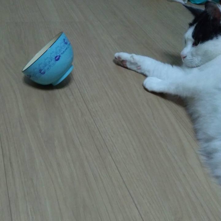 4f676ab8 7349 41ee a3a6 11d5af29de05 1523359718067