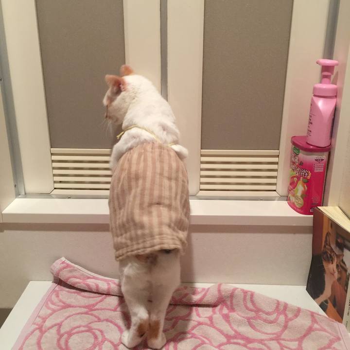 4f676eca 2b6c 471d afa1 e60f65aa018f 1517834393013