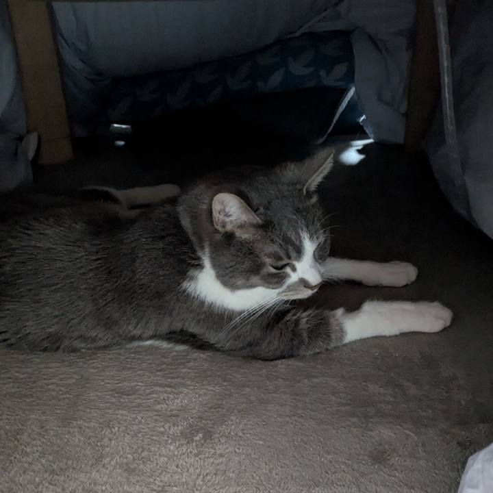 4f67710f 33e7 4098 b4cf 03e665816581 1774404470991