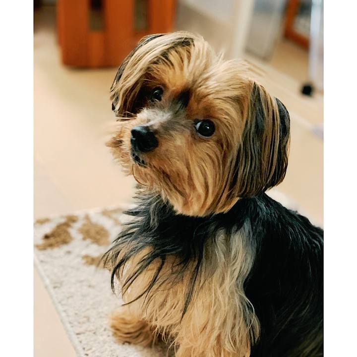 4f67a047 a0ed 46d9 aef3 7f5d736b054b 1570256825163