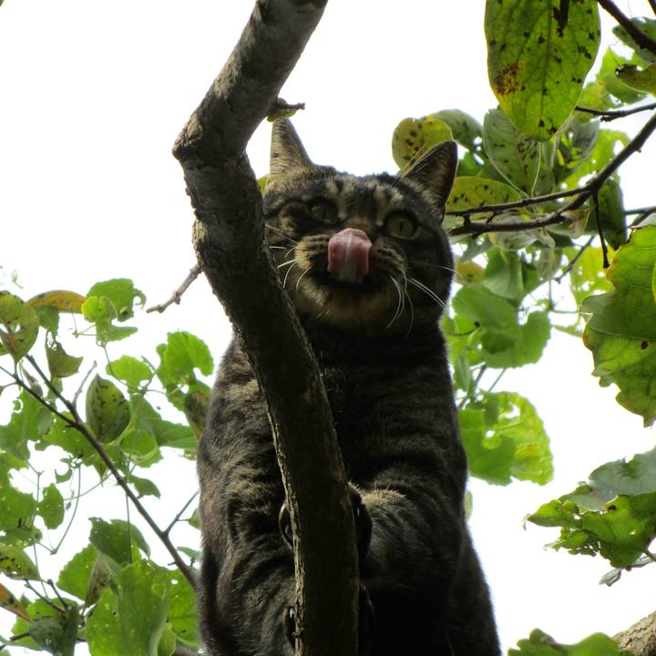 4f67ca93 0872 4fde a6b2 c5bc15c861f6 1509025463825