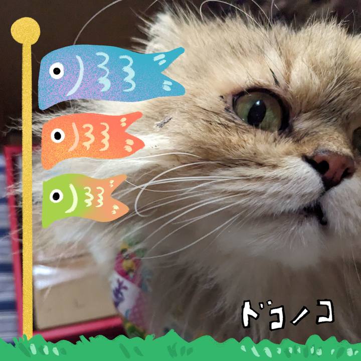 4f67d0fd 3873 4423 b6a1 a626f98e4cd4 1714875147859