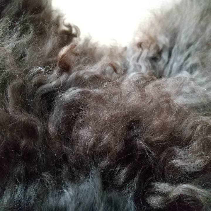 4f67e975 4b33 4a67 824f 9805e75104a4 1596611699270