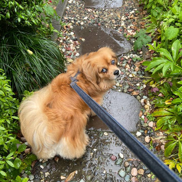 4f67fd08 6349 4b72 bf59 cee871f45e19 1588725173341