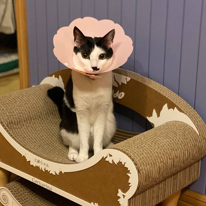 4f683b9b cd43 4d79 82b1 06c5a045e05c 1574779233126