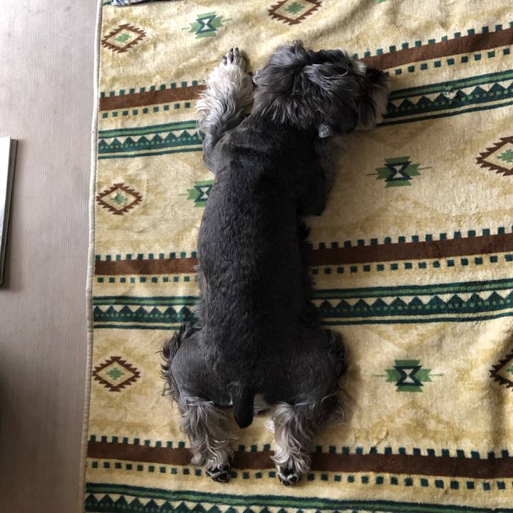 4f68bc8e 3abd 468b a530 7240461b0251 1653717493576