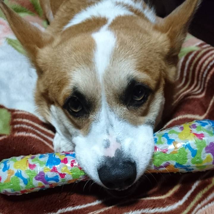 4f69064e 9e09 425a 8bc2 2c499df0aab9 1577708846121