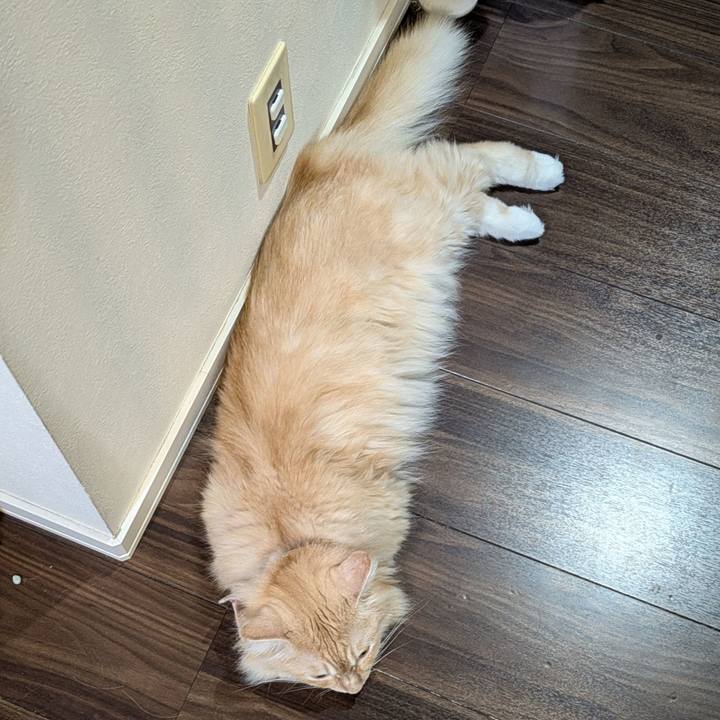 4f692c55 e849 4d7b 8d43 fafb5650ffdc 1727871817221