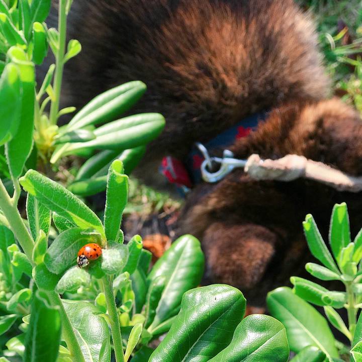 4f695093 e3e8 4caf 965e b1475077dd7b 1526336832314