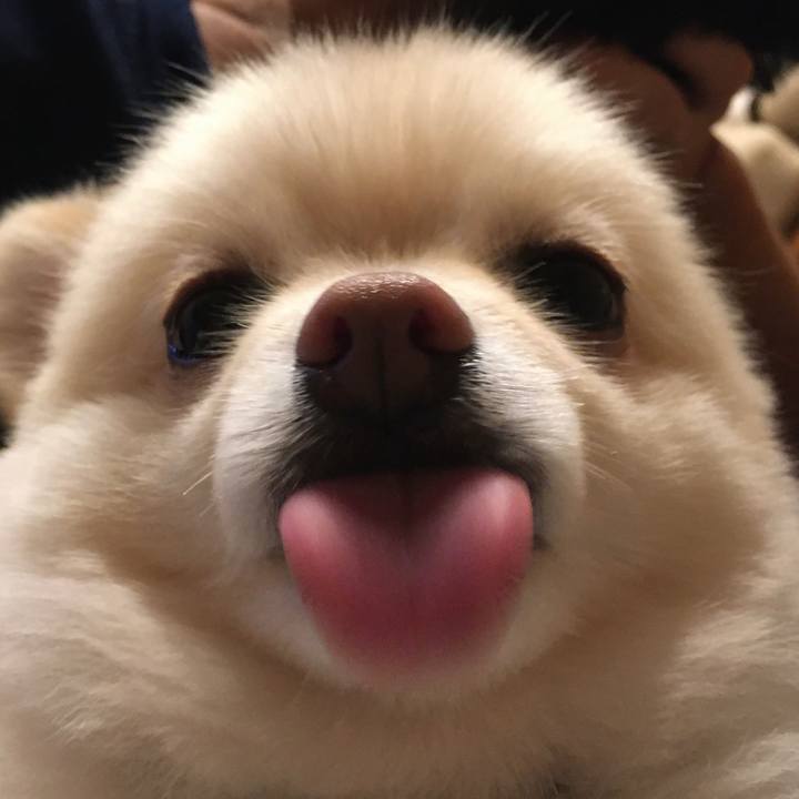 4f697d23 bc00 4c94 8458 0e4f5bab788f 1598520452379