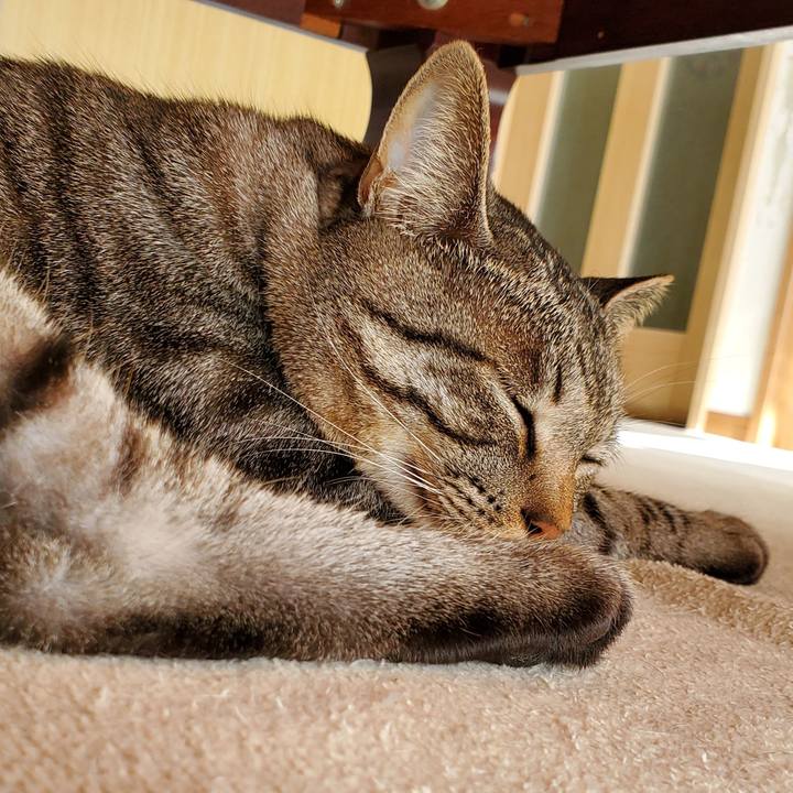 4f698eac 1a15 4dc7 a93d 975b03a8c2dc 1707402501556