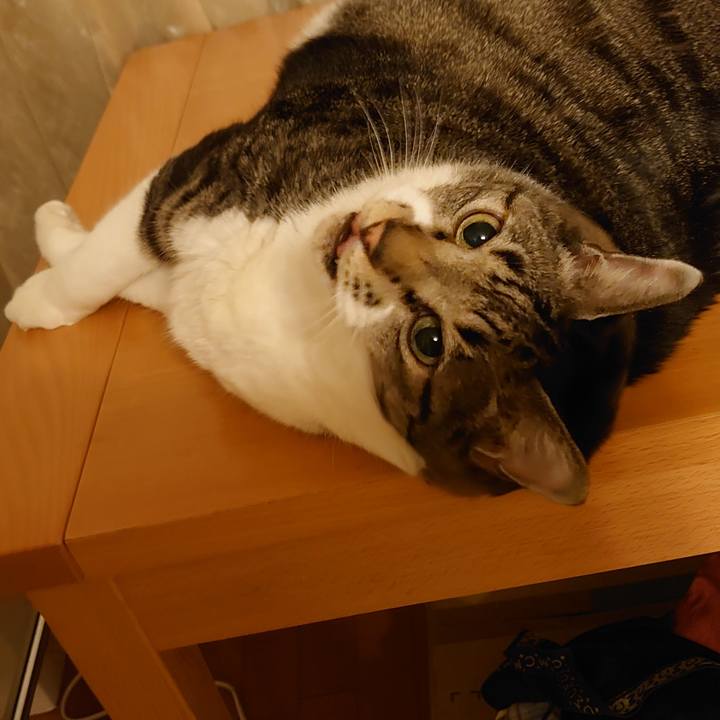 4f69abd6 cb1f 40cf 983e ae236c0f5f46 1664018958948