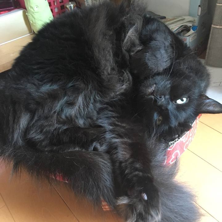 4f69fef5 5f18 4511 9d72 9a8cfec44275 1533795917030