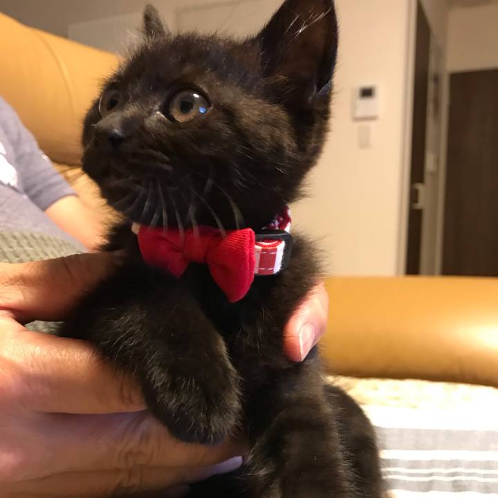 4f6a5125 d069 46f3 8d2e 0b3437ee3cd6 1658718161203