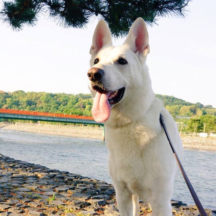 4f6a55b0 f307 4bee 9244 3578cd8b2ccf 1572669342524