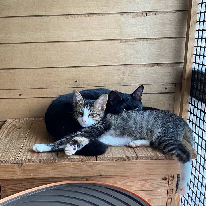 4f6a7855 739c 41a3 93f1 6f7fad887a42 1634001733114