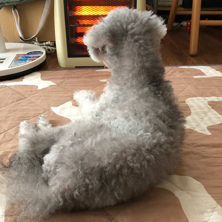 4f6a87f5 1ed1 4477 a112 9aba3726a511 1571444435744