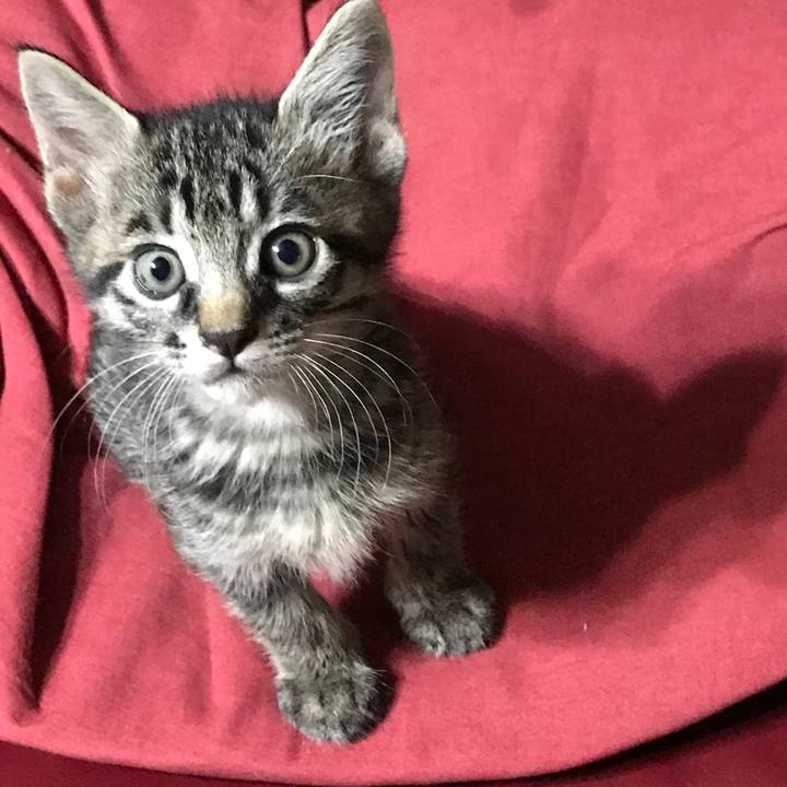 4f6ac8c0 9dc7 4b2f 8543 6e098d654137 1572098231548