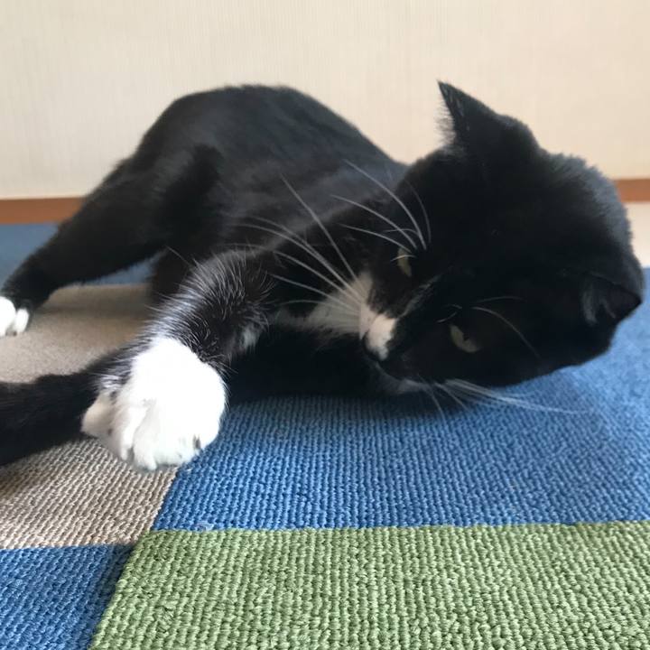 4f6ad44e 7f8c 4e8c 8935 5fcad800d271 1667878440387