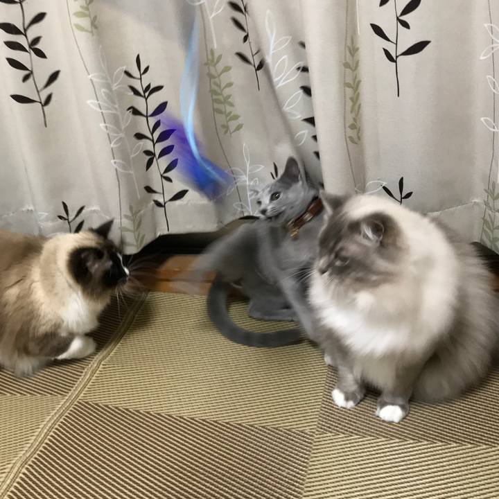 4f6b7572 3389 4035 81ef 51f766908564 1519308879716