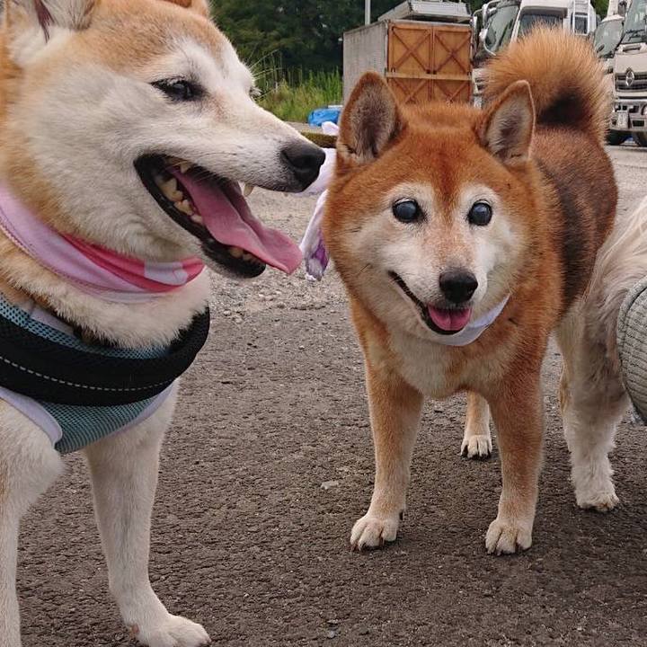 4f6b7de3 8fb6 4ec3 92ab 260f03d971be 1689155113713