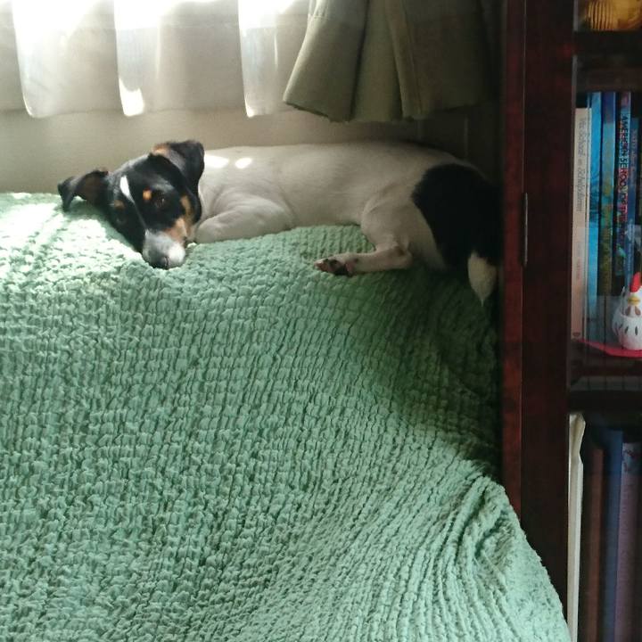 4f6b9608 53b5 4411 88e4 5715fe2e6b12 1533259877756