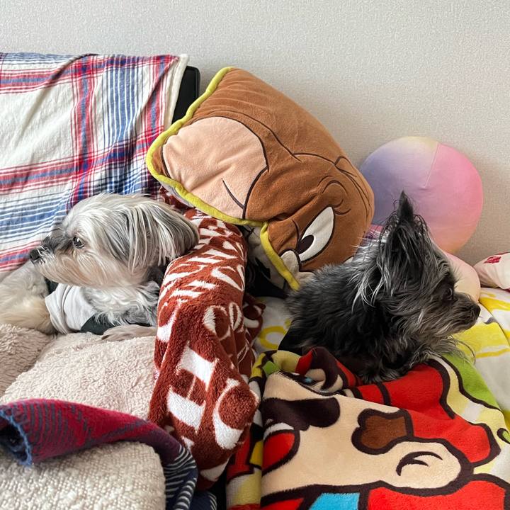 4f6bbd0e 9c41 4ab3 9877 f002828ebac0 1774747864087