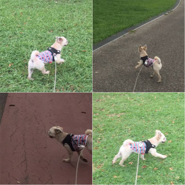 4f6bc141 4e38 4a58 bcd4 cda27ce0d2c5 1535435788832