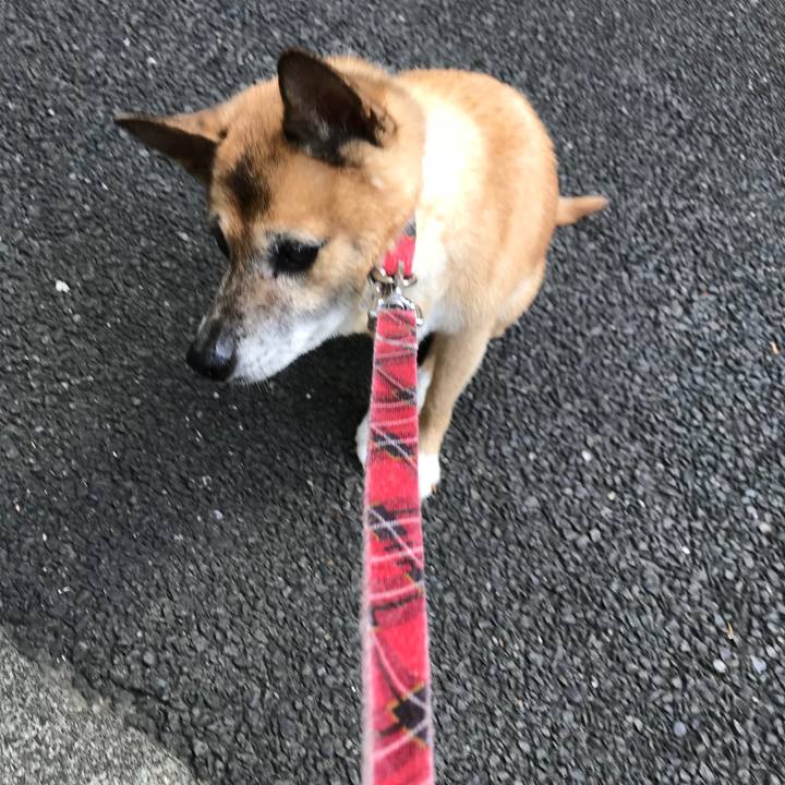 4f6bd152 2da7 4add 975f 48dc1720f96c 1534373539309