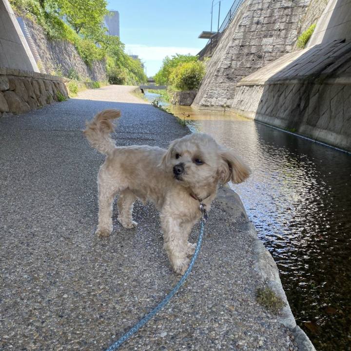 4f6c0c0e 33ee 4f84 bf62 ba2916f233aa 1588846106082