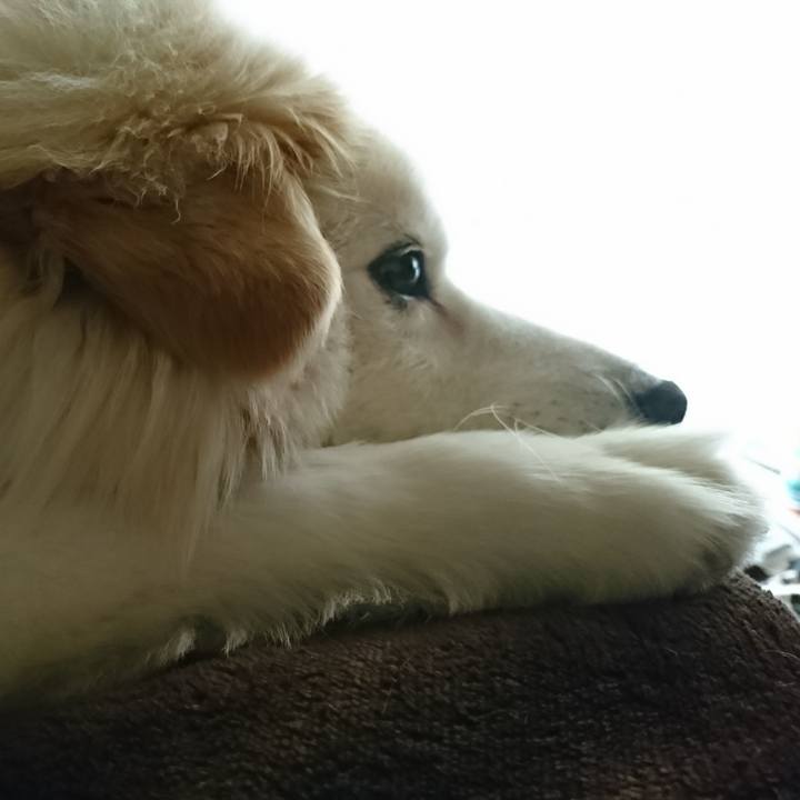 4f6c160a 56f7 4978 b71b a5736522fd09 1527281655603