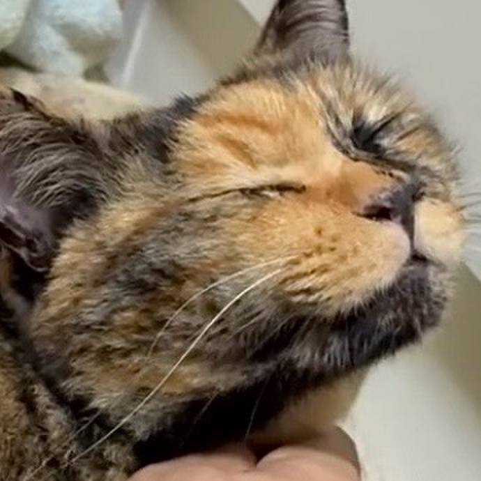 4f6c7521 f000 4d9e a93b 41a4960241d2 1759919563542