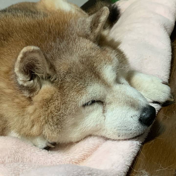 4f6c8a13 06b6 4ba2 b096 75f2fba62adc 1637329956521