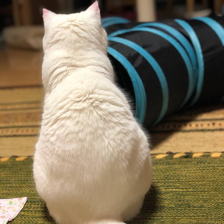 4f6c9552 e36a 4cf2 8dc9 21a5f6b6cf23 1557414632712